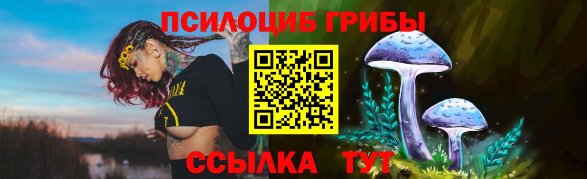 Галлюциногенные грибы GOLDEN TEACHER Кумертау